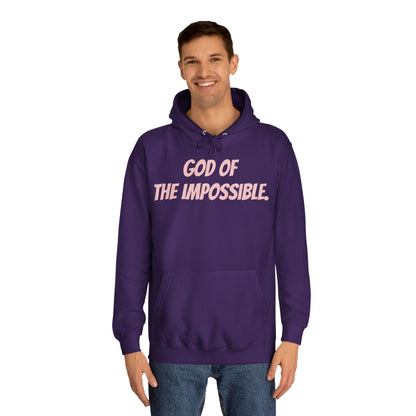 Cozy College Hoodie, Casual Unisex Sweatshirt, Perfect for Students, Gifts for Graduates, Ideal for Campus Wear, Comfortable Everyday Style